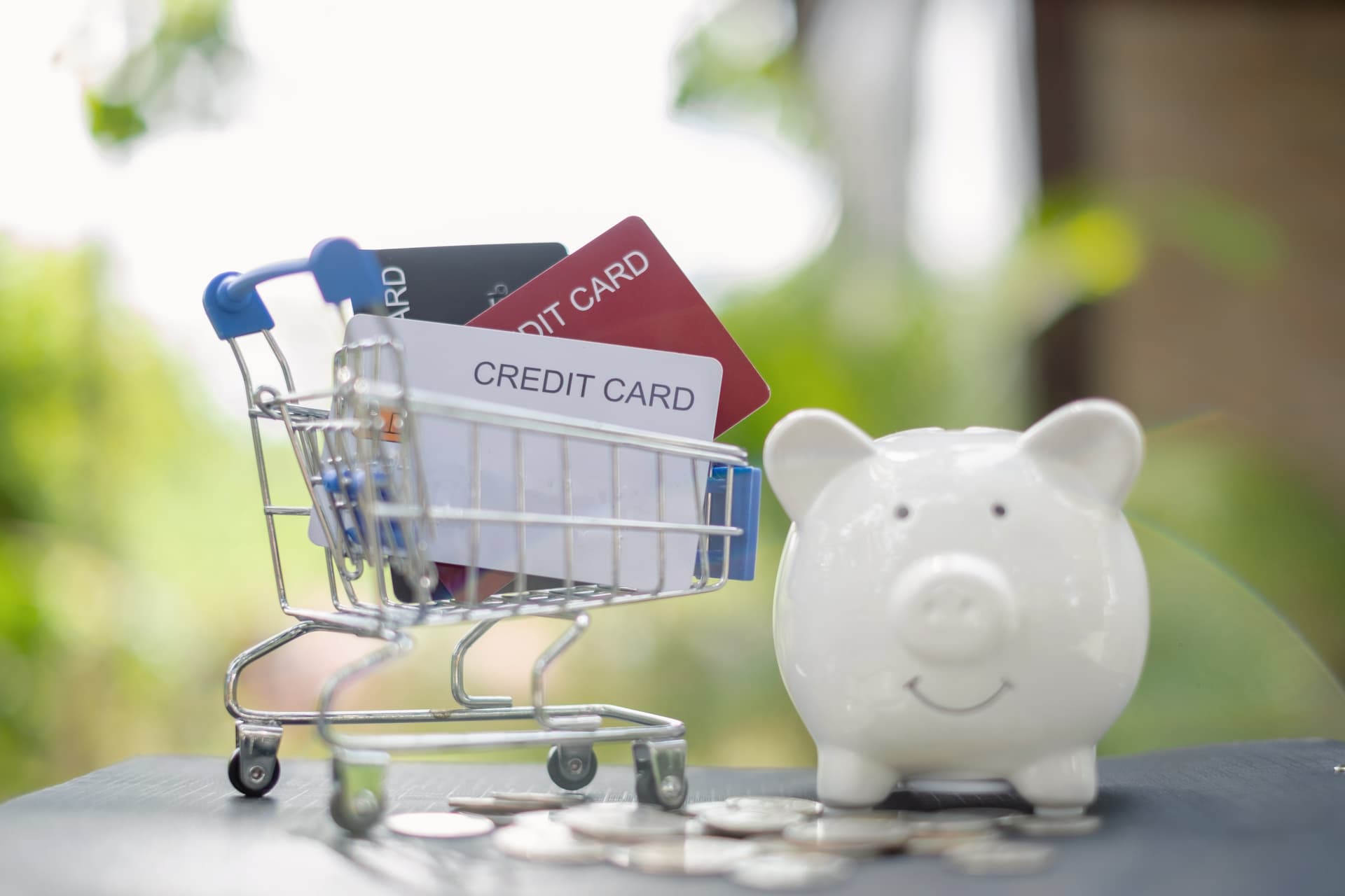 Consumer Credit Advice 